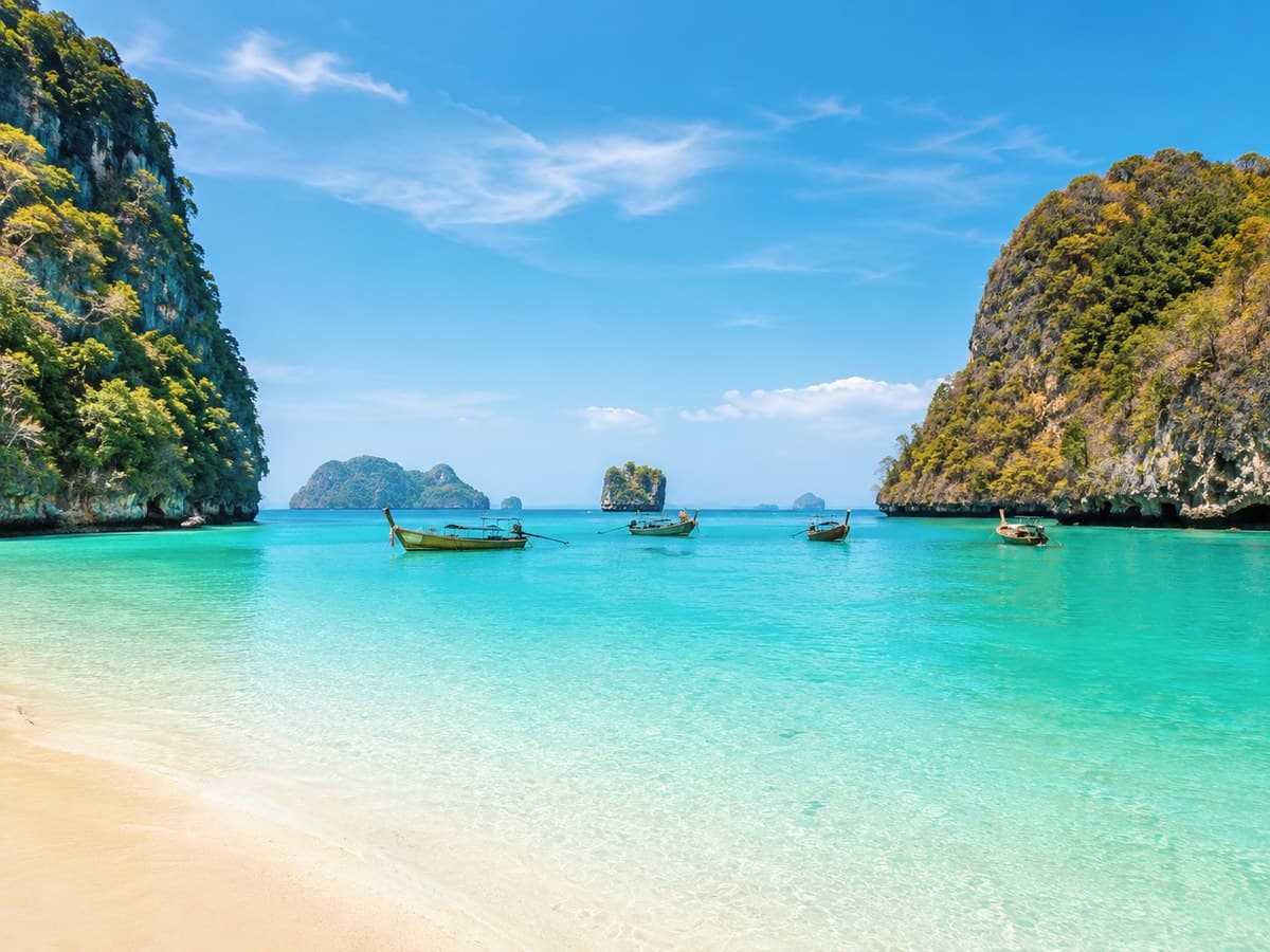 Vue aérienne de la plage bordée de cocotiers de Raya Island